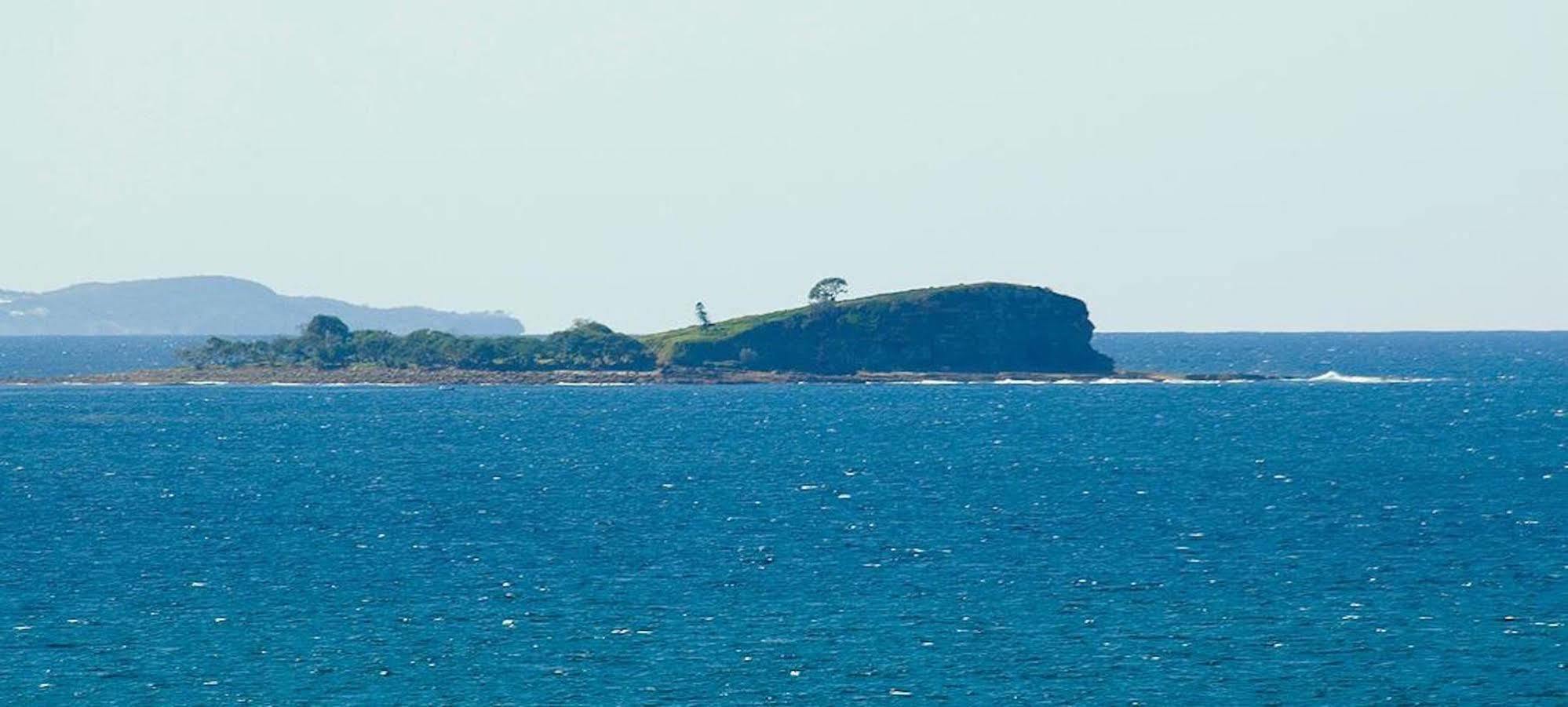 Headland Tropicana Resort Alexandra Headland Bagian luar foto